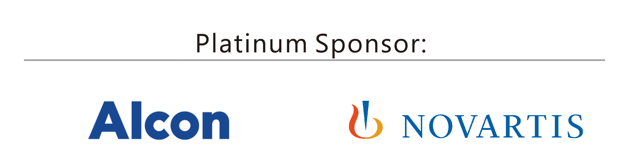Platium Sponsor: 